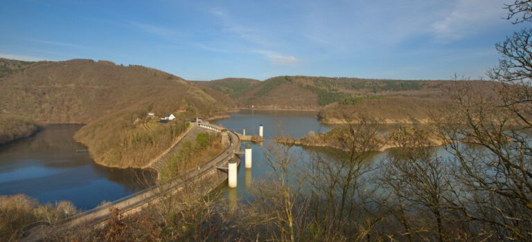 Vogelsang und Urftsee